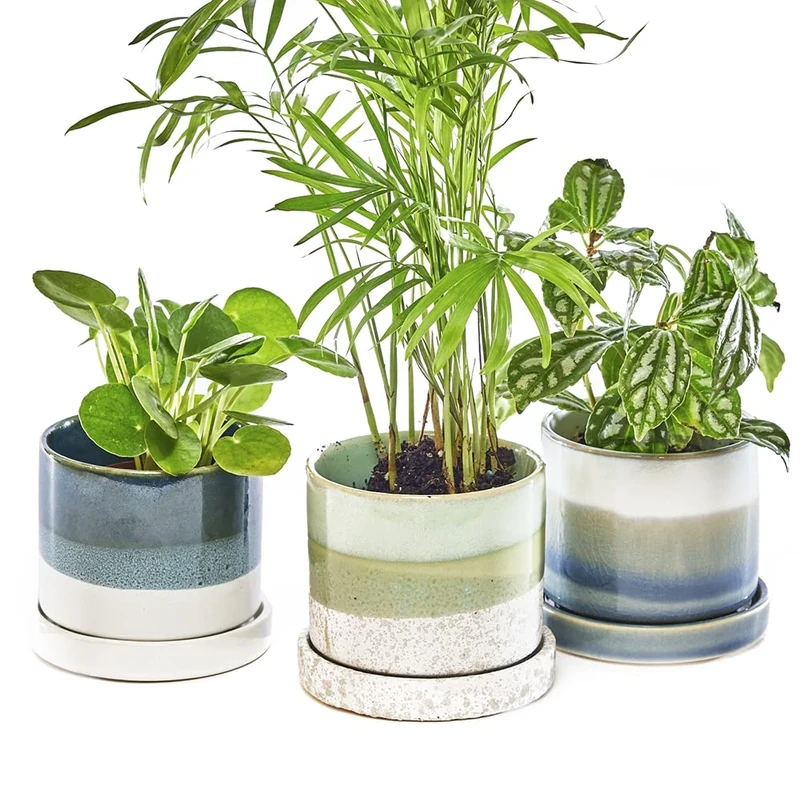 Chive ‘Minute’ Ceramic Plant Pots — Cute, Beautiful Pots for Flowers & House Plants Indoor & Outdoor — Set of 3 — Green & Blue