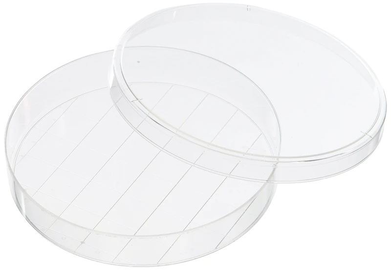 Corning Falcon 353025 TC Treated Cell Culture Dish 150 mm with 20 mm Grid, Sterile (Pack of 100) - Image 1