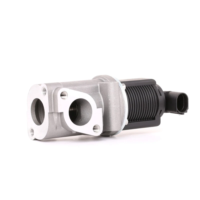 Esen SKF 14SKV055 EGR Valve