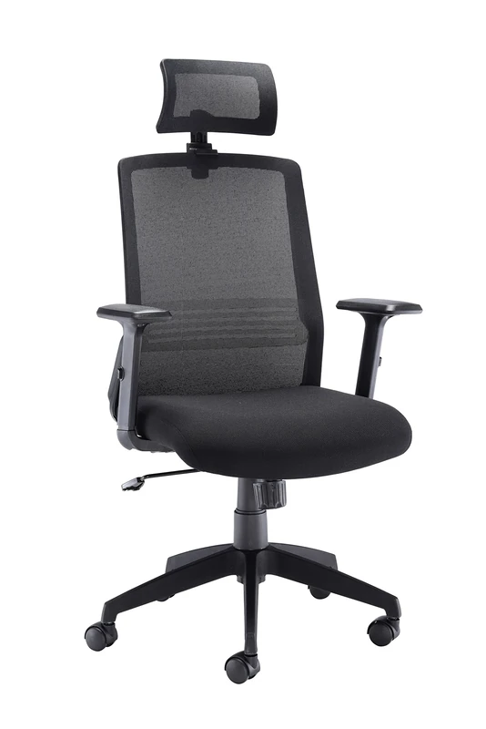 Office Hippo High Back Office Chair with Arms, Mesh Office Chair for Home, Lumbar Support and Adjustable Arms, Swivel, Fabric, Black