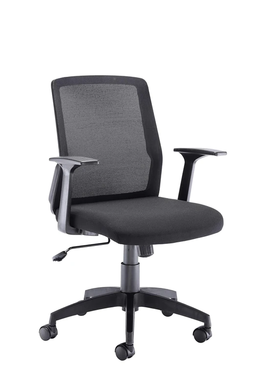 Office Hippo Desk Chair, Ergonomic Office Chair For Home & Office With Breathable Mesh Backrest, Fixed Arms For Comfort & Support, Computer Chair For Daily Use, Up To 115kg Weight, Black