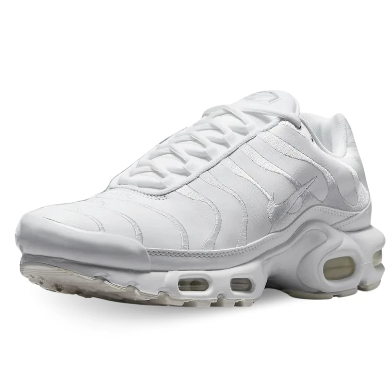 NIKE Mens Air Max Plus Running Shoes, White White White White 001, 6 UK