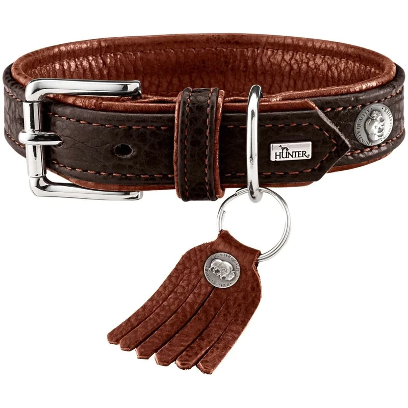 HUNTER Collar Cody, 60, Small