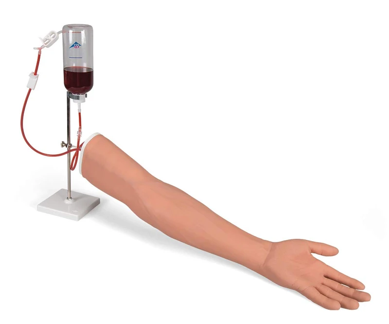 3B Scientific P50/1 Intravenous Injection Arm