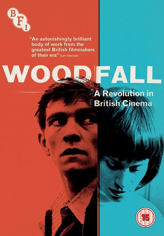 Woodfall: A Revolution in British Cinema (9-disc DVD box set)