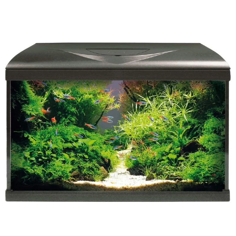 Croci Amtra System 60 LEDs for Aquarium Black