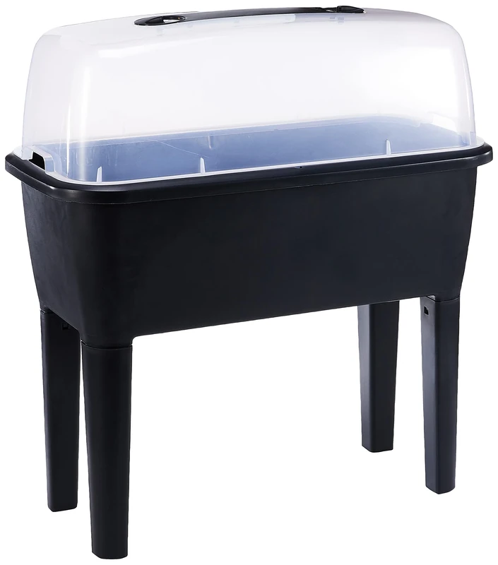 Zanvic ESPA Urban Orchard,Anthracite