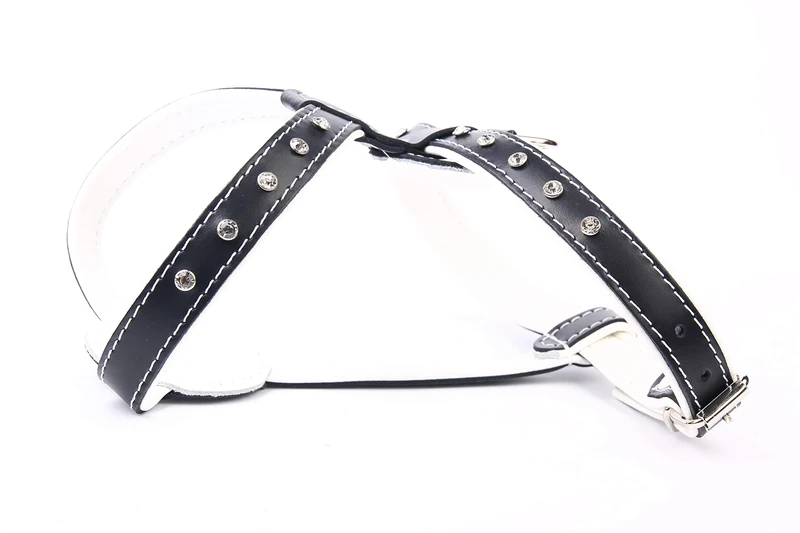 Moly Harness Leather Luxury Glass, 60 cm - Image 1