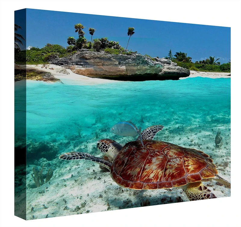 CCRETROILUMINADOS Backlit Image, Acrylic, Colourful, 60x60x5.3 cm