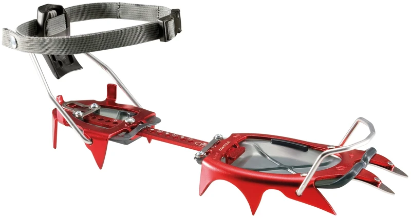 C.A.M.P. - XLC NANOTECH - Automatic