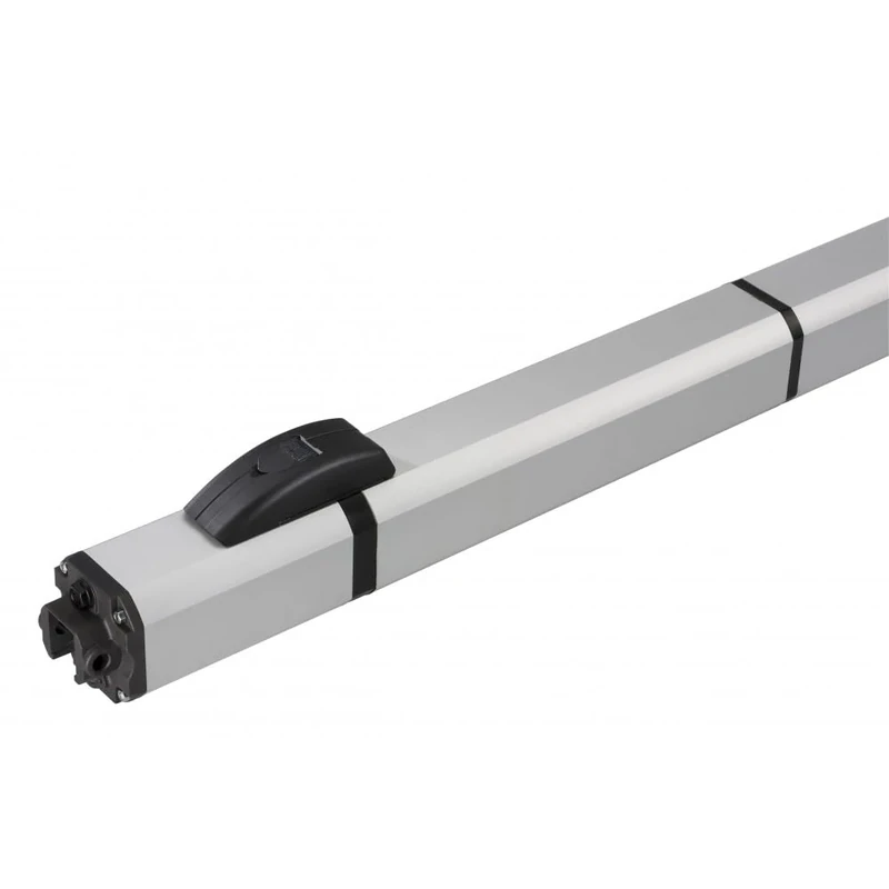 Faac Operator S450H Cbac 24V