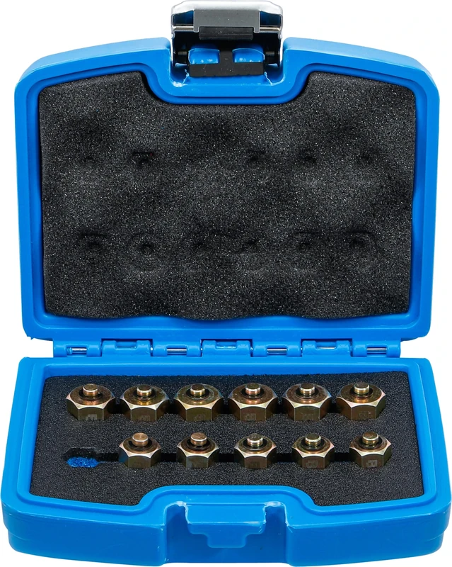 BGS 9540 | Injector Sealing Plug Set | 12 pcs.
