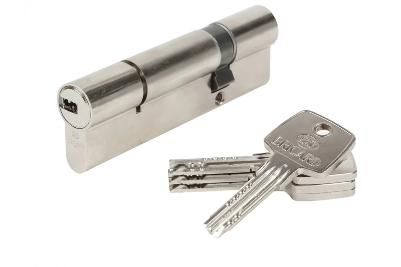 Bricard 17156 Astral 2.9 Brass Cylinder with 10 Pistons, 2 Inputs 30 + 70, Protects Against Drilling and Picking. Personal Card, Nickel-Plated Steel, 100