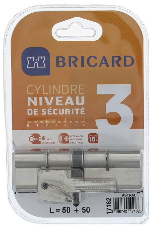 Bricard 17162 Astral Release Cylinder 2.9 Nickel-Plated Brass 10 Pistons, 2 Inputs Protection Against Drilling and Picking. Personal Card, Nickel-Plated Steel, 100 = 50+50