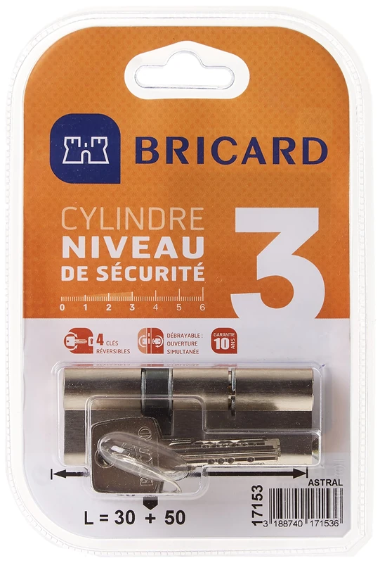 BRICARD 17153 Double Astral 2.9 10 Nickel-Plated Brass Cylinder Piston Input, Personal Protection Against Drilling and Picking. Card., Nickel-Plated Steel, 80 = 30 + 50