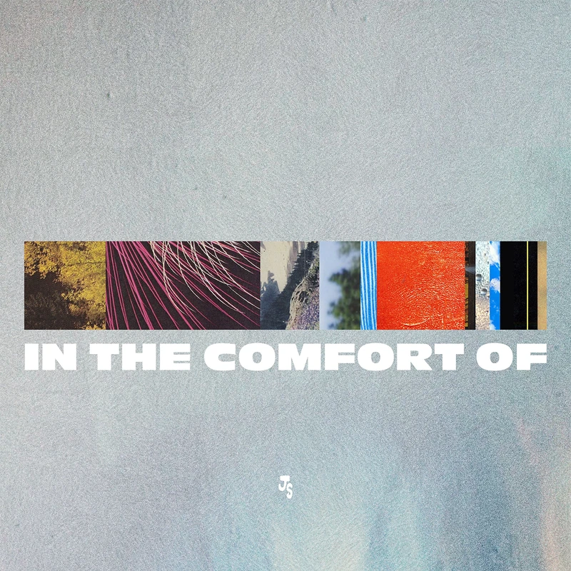 In The Comfort Of [VINYL]