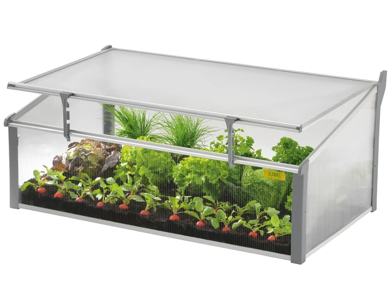 JUWEL Komfort Easy-Fix 100/60 Double Cold Frame (Plant Bed Made of Heat-Insulating Hollow Chamber Panels, Greenhouse for Growing Plants, with Window Fixation, Size 100 x 60 cm) 20225