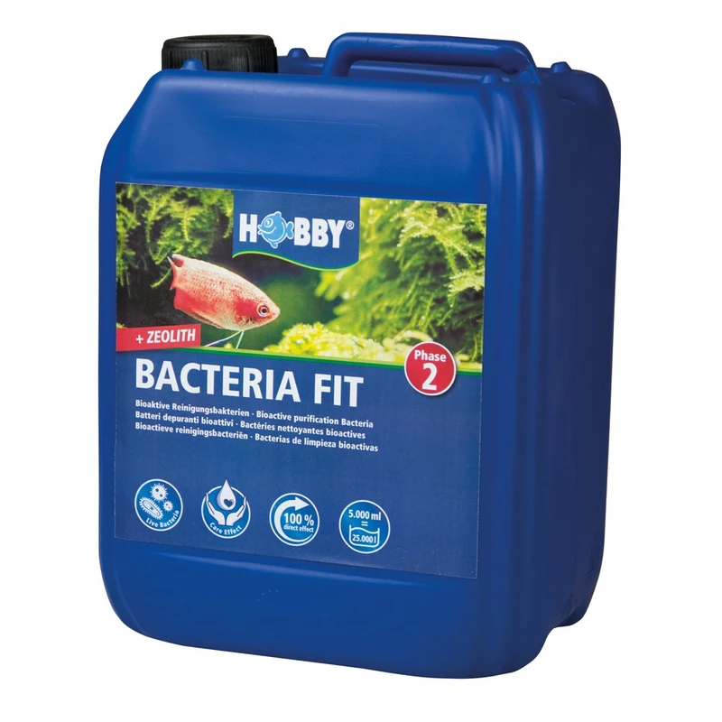 Hobby 51144 Bacteria Fit