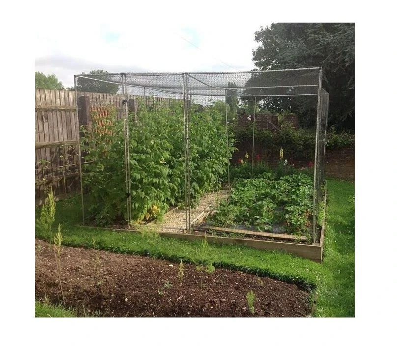 Walk in Fruit or Vegetable Cage Kit Includes Door H2 x W2 x L4 Black Soft Butterfly Netting, Pegs and Clips