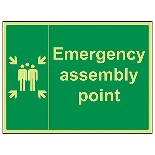 V Safety 17009BF-G'Emergency Assembly Point With Family' Sign, 400 mm x 300 mm (Pack of 3)