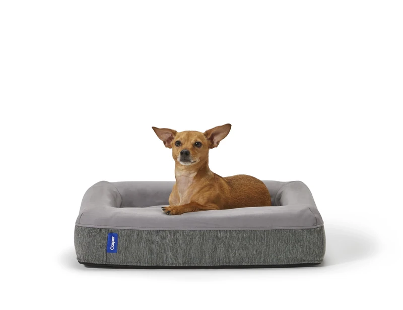 Casper Sleep Dog Bed