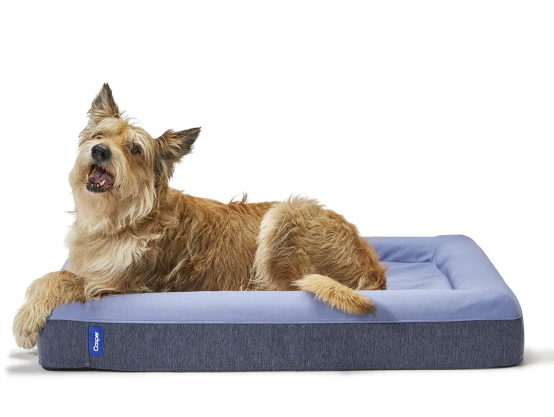 Casper Dog Bed, Plush Memory Foam, Small, Blue