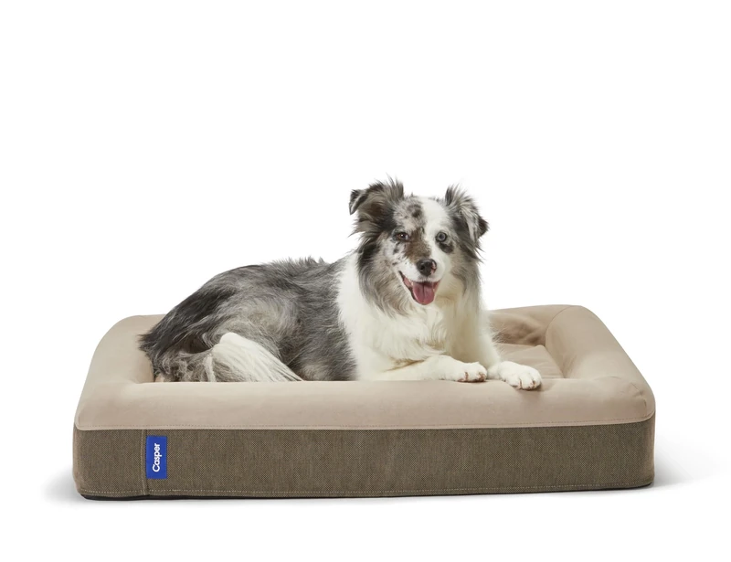 Casper Dog Bed, Plush Memory Foam, Medium, Sand