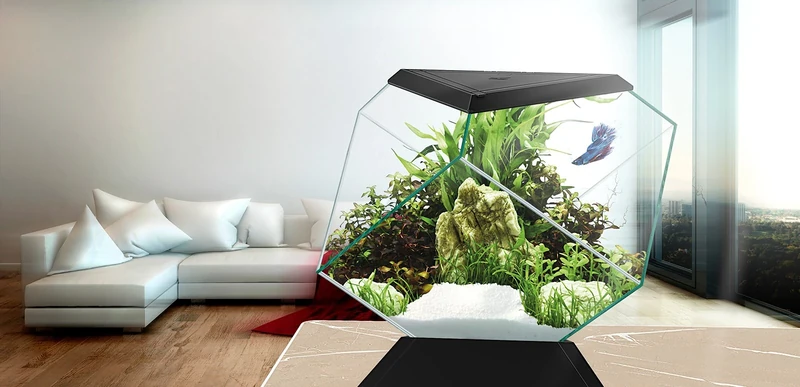 Askoll 280670 Nexus 5C Betta Life Black