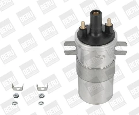 Borgwarner (beru) ZS564 - Ignition Coil