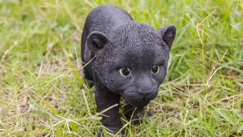 RUNADI Hi- Line Gift Panther Cub Statue Black 87696-B - Image 1