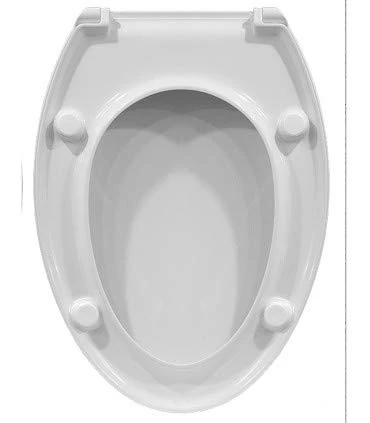 Pozzi Ginori 04760000 Resin Thermoset Seat for Join Vase, White