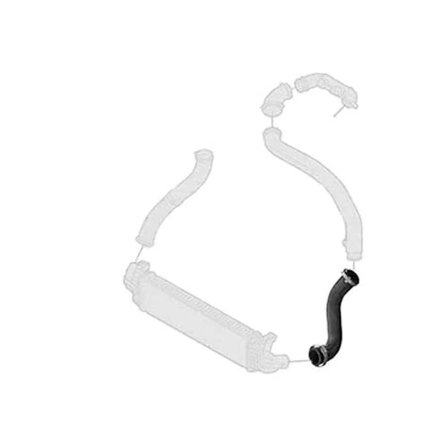 Borg & Beck BTH1296 Turbo Hose To Fit Ford Focus 1 6TDCI 04-