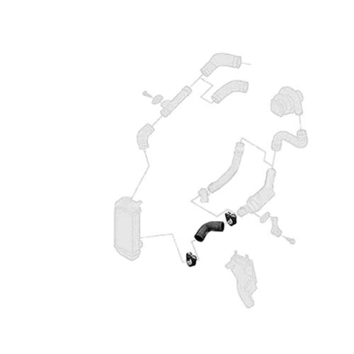 Borg & Beck BTH1113 Turbo Hose To Fit VAG Ibiza Fabia Lupo 1 4TDi
