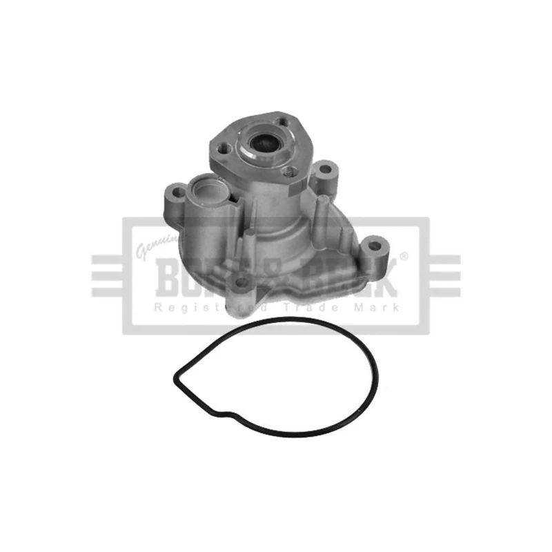 Borg & Beck BWP2096 Water Pump Kit To Fit Golf >08 Octavia >08 1 6FSi