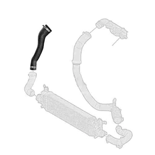 Borg & Beck BTH1566 Turbo Hose To Fit Ford Fiesta/Fusion 1 6TDCi