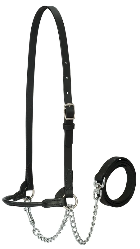 Weaver Leather Livestock Dairy Halter, Large, Black