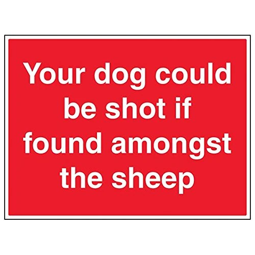 V Safety 76017BR-R'Dog Could Be Shot If Found Amongst Sheep' Sign, 600 mm x 450 mm (Pack of 3)