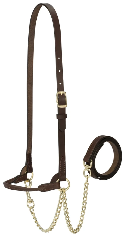 Weaver Leather Livestock Dairy Halter, Small, Brown