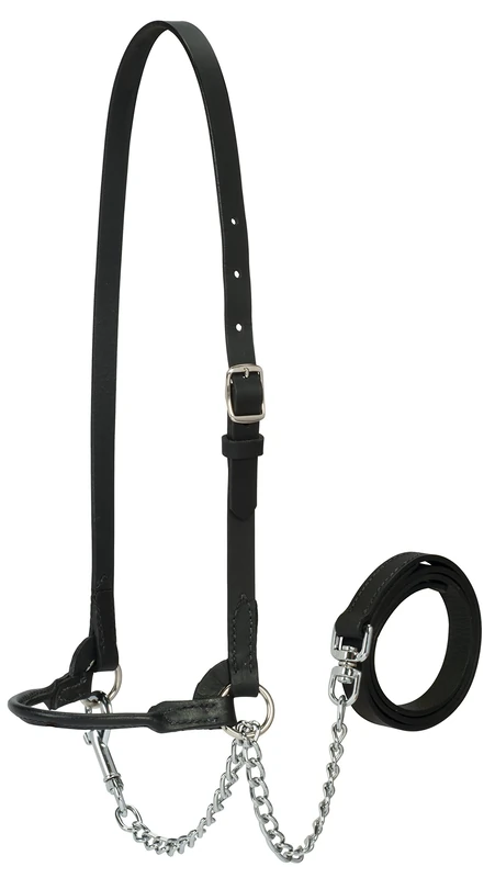 Weaver Leather Livestock Dairy Halter, X-Small, Black