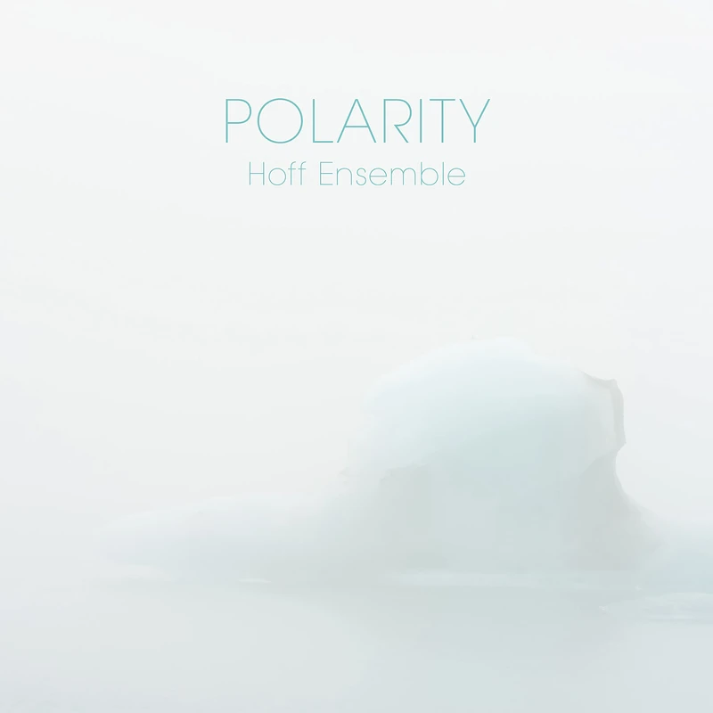 Polarity - Image 1