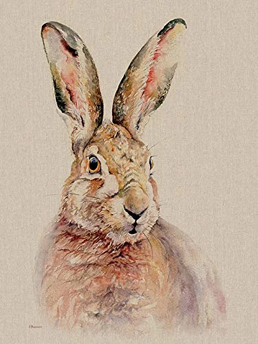 Jane Bannon (Pippa 60 x 80cm Canvas