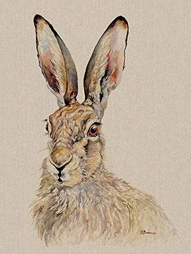 Jane Bannon Canvas, Multi-Colour, 60 x 80 cm - Image 1