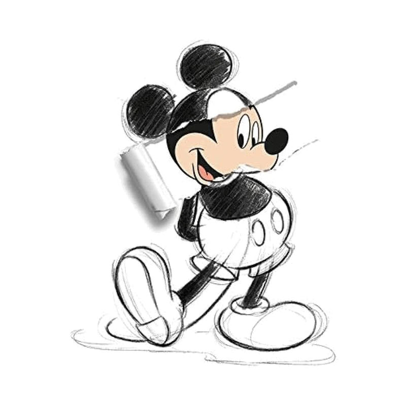 Mickey Mouse (Torn Sketch 60 x 80cm Canvas