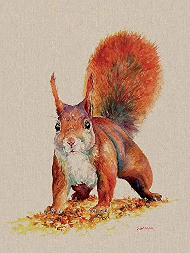 Jane Bannon (Sammy 60 x 80cm Canvas