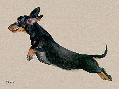 Jane Bannon (Freddy 60 x 80cm Canvas