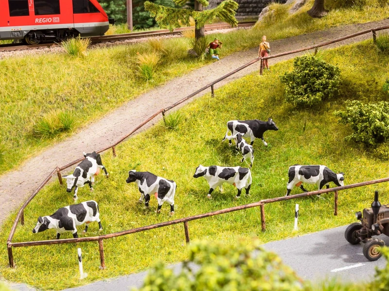 Noch Cow Pasture - Image 1