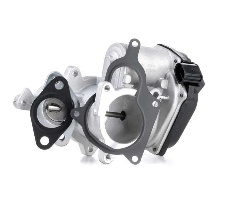MAGNETI MARELLI EGR Valve