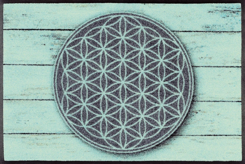 Wash + Dry Door Mat, Top: 100% Cotton, Green, 50/75