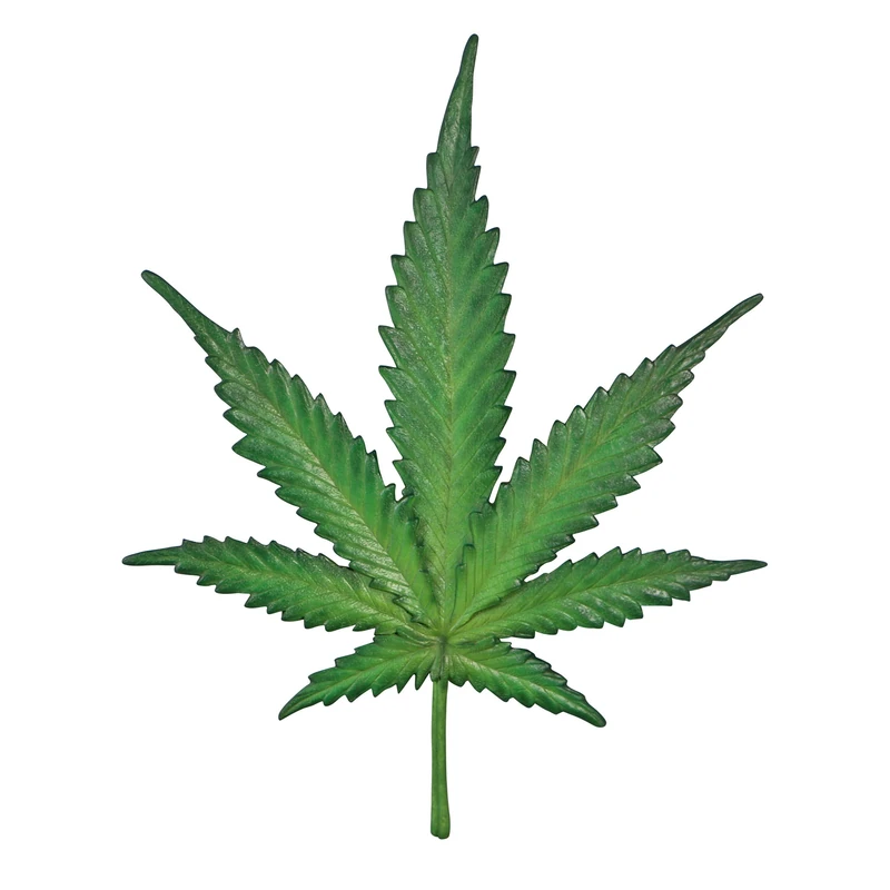 Design Toscano Marijuana Leaf Cannabis Wall Sculpture, fiberglass, Multi-Color, One Size - Image 1