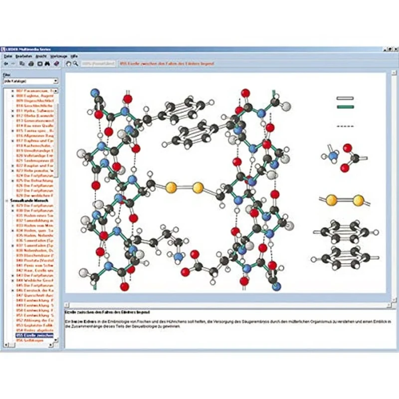 3B Scientific W13541 The Structure of Matter Part I, CD-ROM